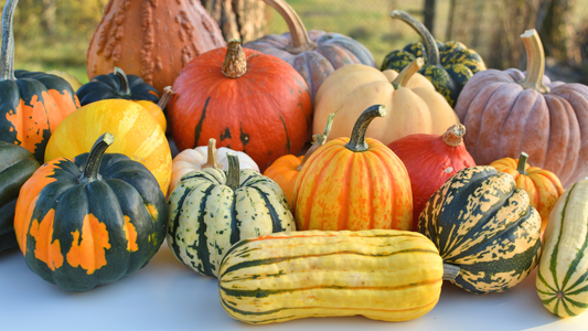 Sabores de Otoño: Delicias Gastronómicas para Disfrutar en la Temporada